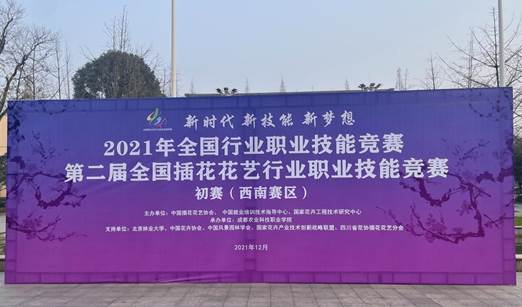 IMG_6331 IMG_6331